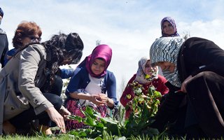 Yakutiye'li Kadınların Hıdrellez Coşkusu