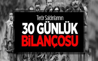 Terör Saldırılarının 30 Günlük Bilançosu