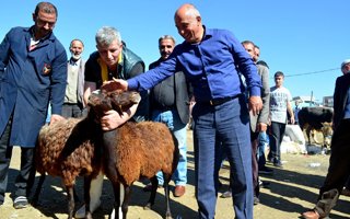 Ilıcalı, kurban pazarının nabzını tuttu...