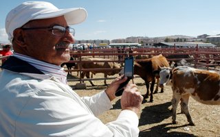 Satılan kurbanlıkların fotoğrafını çekiyor