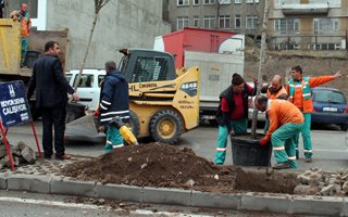 Büyükşehir'den ''Yeşil Erzurum'' atağı