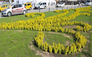 Büyükşehir'den Erzurum'a çiçek şeferberliği