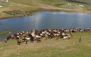 Erzurum’un göletleri çiftçinin yüzünü güldürdü