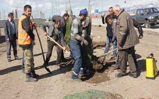 Erzurum'un dört bir tarafı yeşilleniyor