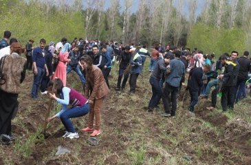 Üniversite kampüsü fidanlarla renklendi