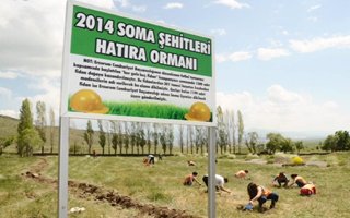 Atılan her gol için Soma şehitlerine fidan