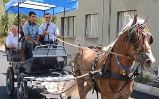 Ceza evi kampüs sahasına payzaj ve asfalt