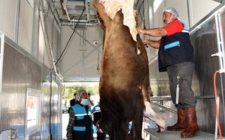 Büyükşehir kurban bayramına hazır