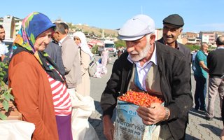 Oltu'da kuşburnu altın değerinde 