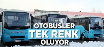 Erzurum'da Otobüsler Tek Renk Oluyor