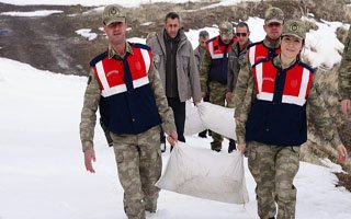 Mehmetçik Yabani Hayvanlara Yem Bıraktı