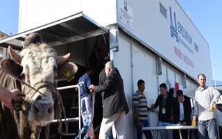 İşte Erzurum'da Kurban Kesim Yerleri