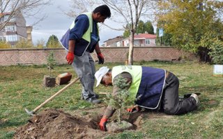 Palandöken Belediyesinden Fidan Seferberliği 