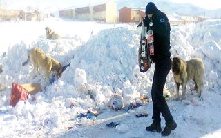 Polis sokak köpeklerini doyurdu