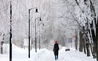 Erzurum'da kırağı güzelliği