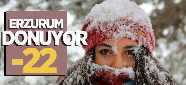 Erzurum'da dondurucu soğuklar etkili oluyor